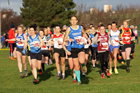 Senior womens and veteran Cathedral Relays, Birtley. Photo:  David T. Hewitson/Sports for All Pics